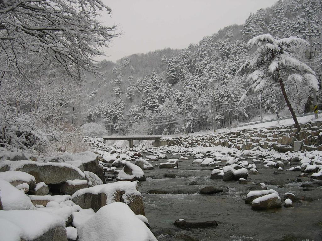 Happy Dream Pension Pyeongchang Exterior foto